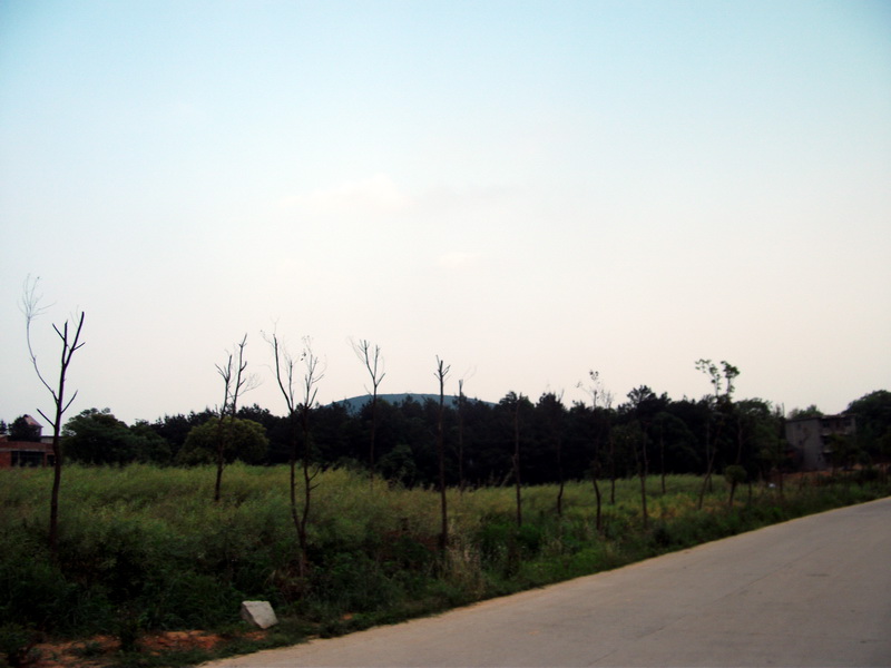 dscf0699.jpg