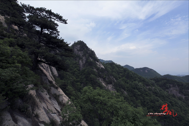 Ƭ 011.jpg