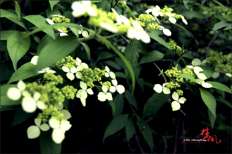 Ƭ05.jpg