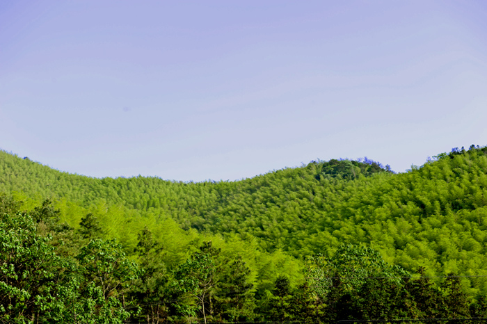 dsc_6370a.jpg