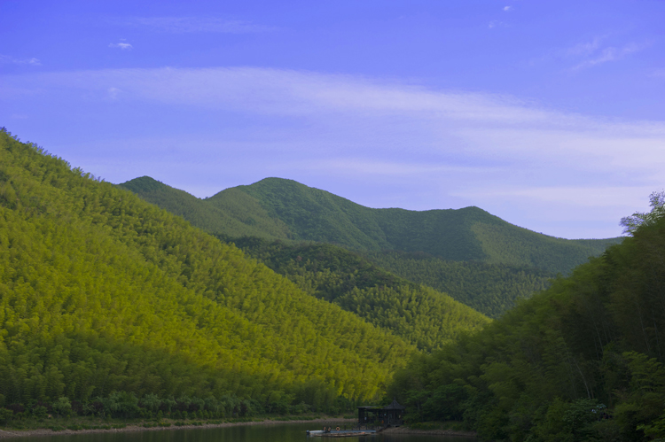 dsc_6396a.jpg