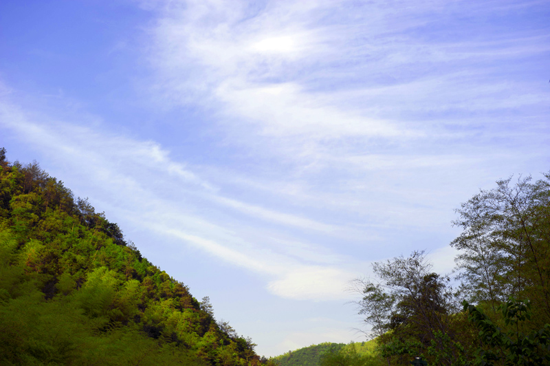 dsc_6418a.jpg