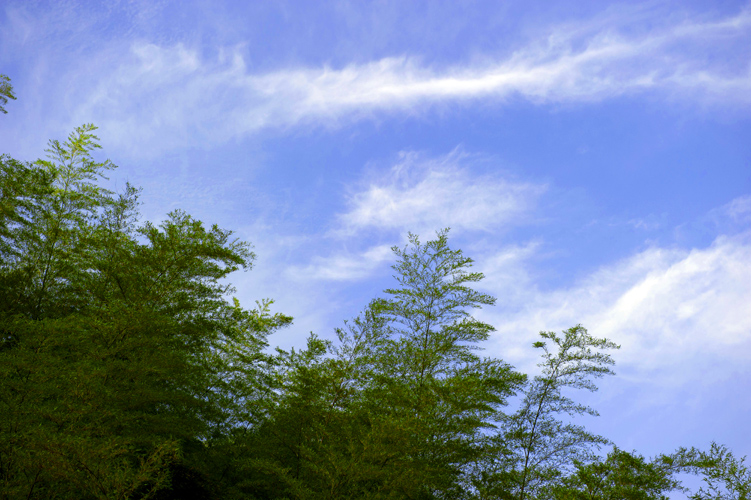 dsc_6431a.jpg
