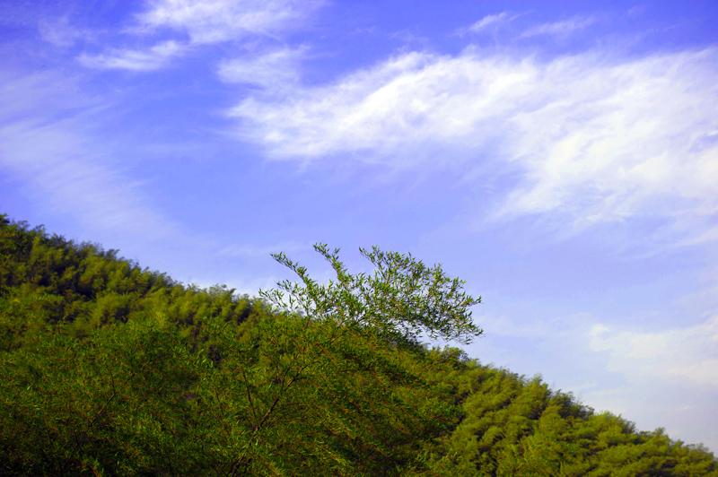 dsc_6434a.jpg