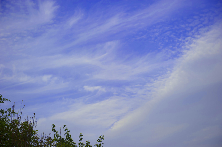 dsc_6455a.jpg