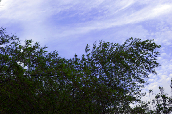 dsc_6496a.jpg