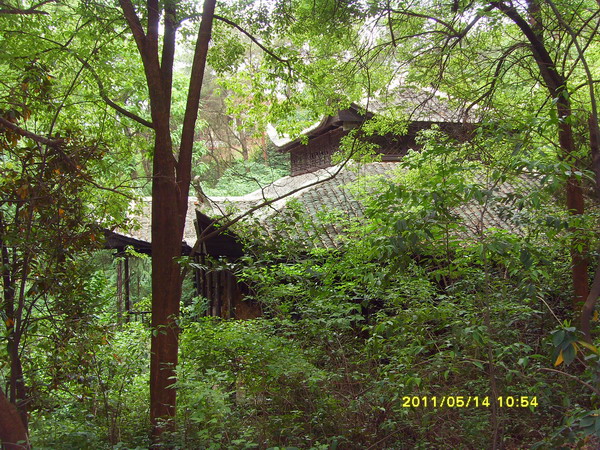 sdc16913.jpg