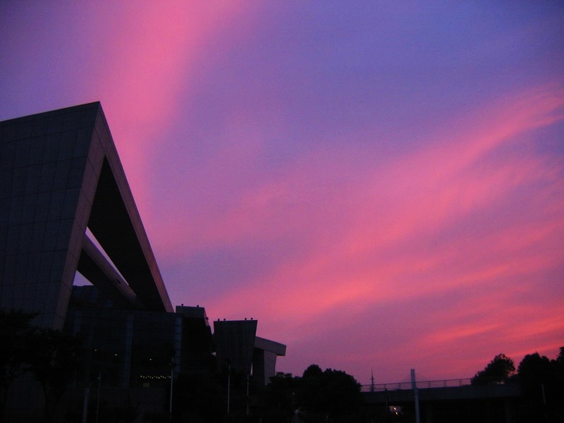 neo_img_img_0133.jpg