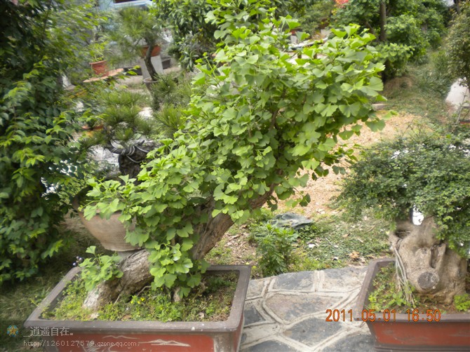 19.jpg