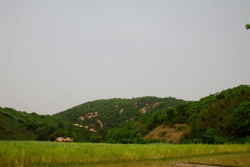 dsc_2383.jpg