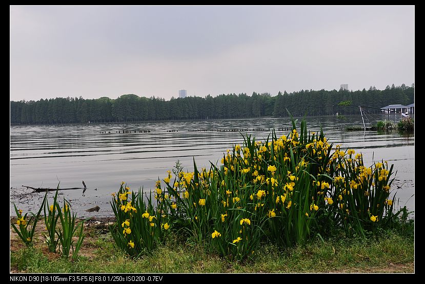 dsc_0244.jpg