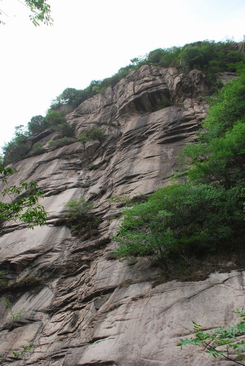 dsc_2405.jpg