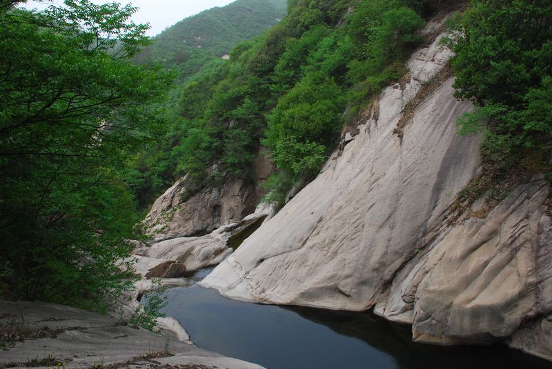 dsc_2438.jpg