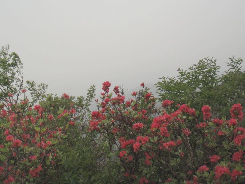 dsc00946.jpg