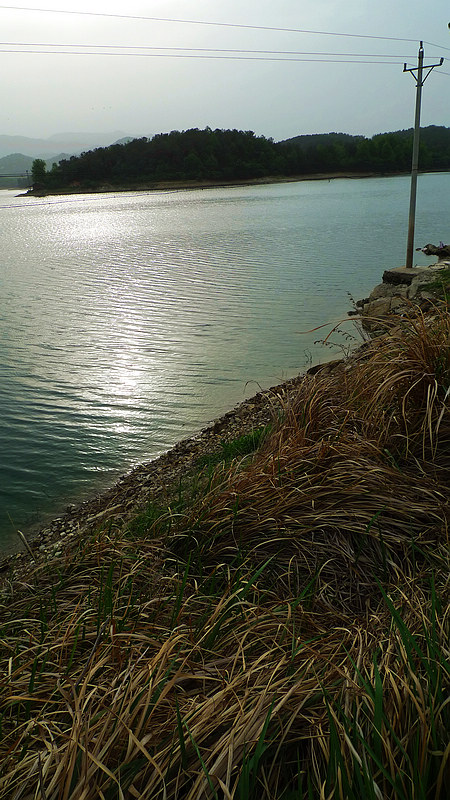 p1100854.jpg