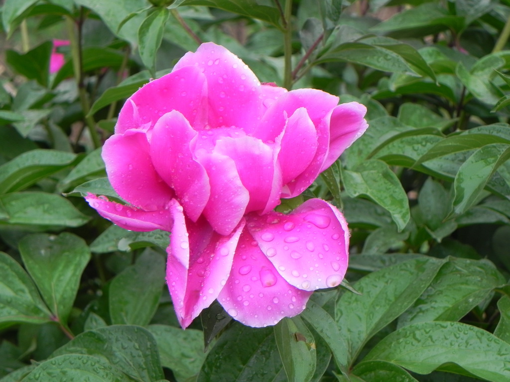 dscn0496.jpg