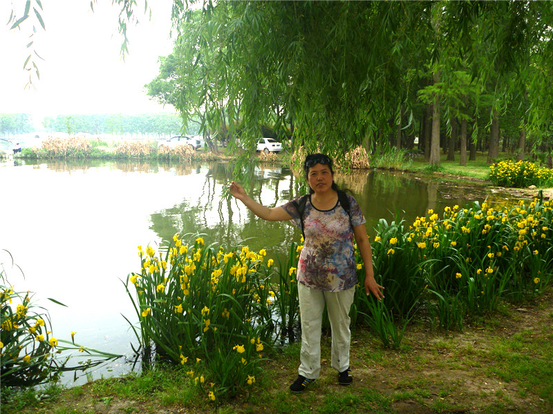 p1050878_.jpg