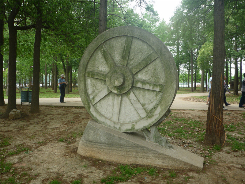p1050879_.jpg