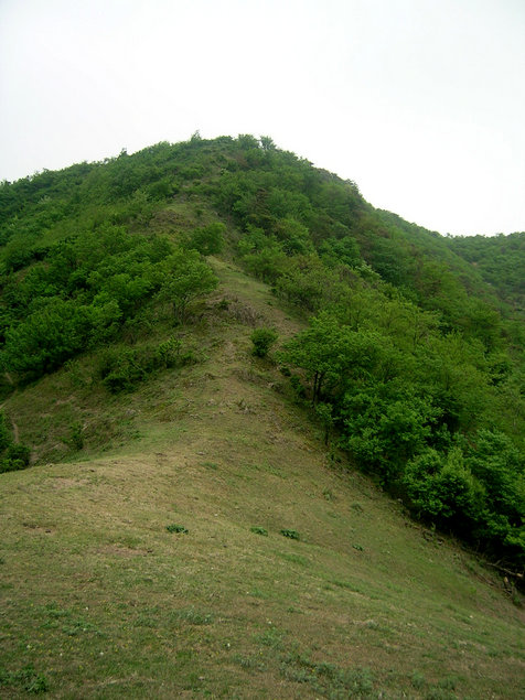 55.jpg
