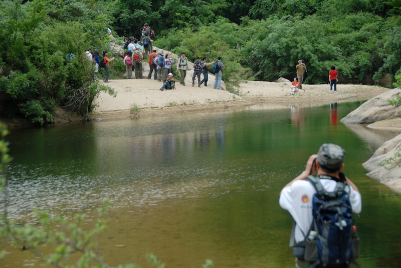dsc_0118.jpg