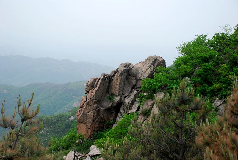 dsc_2713.jpg