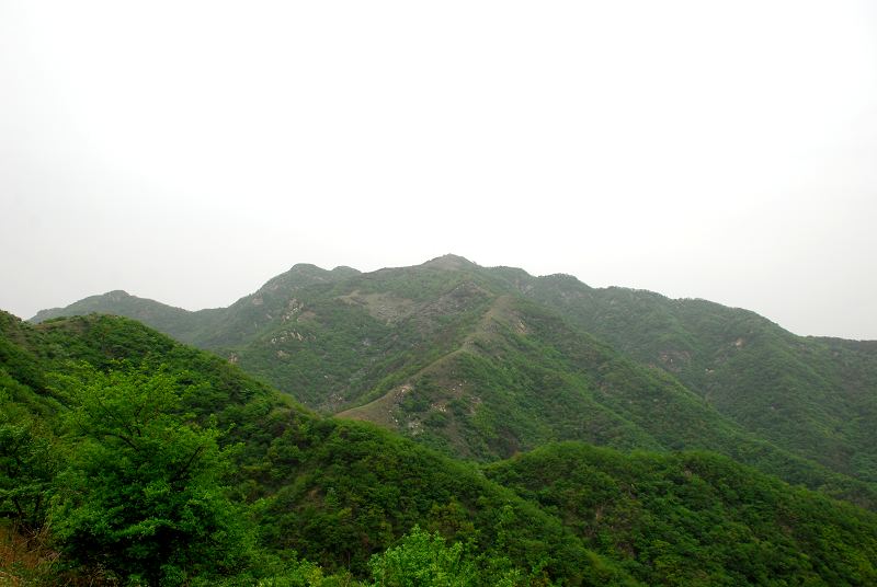 dsc_2827.jpg
