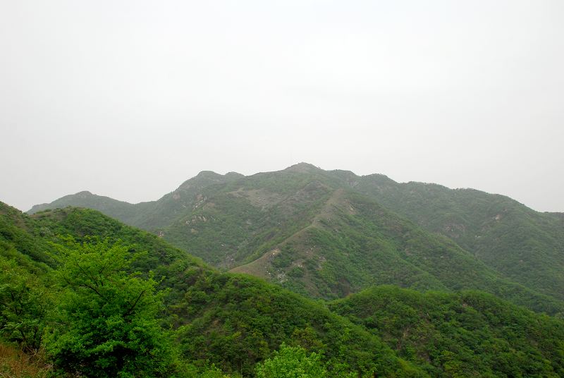 dsc_2828.jpg