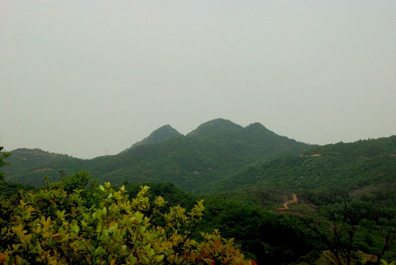 dsc_2856.jpg