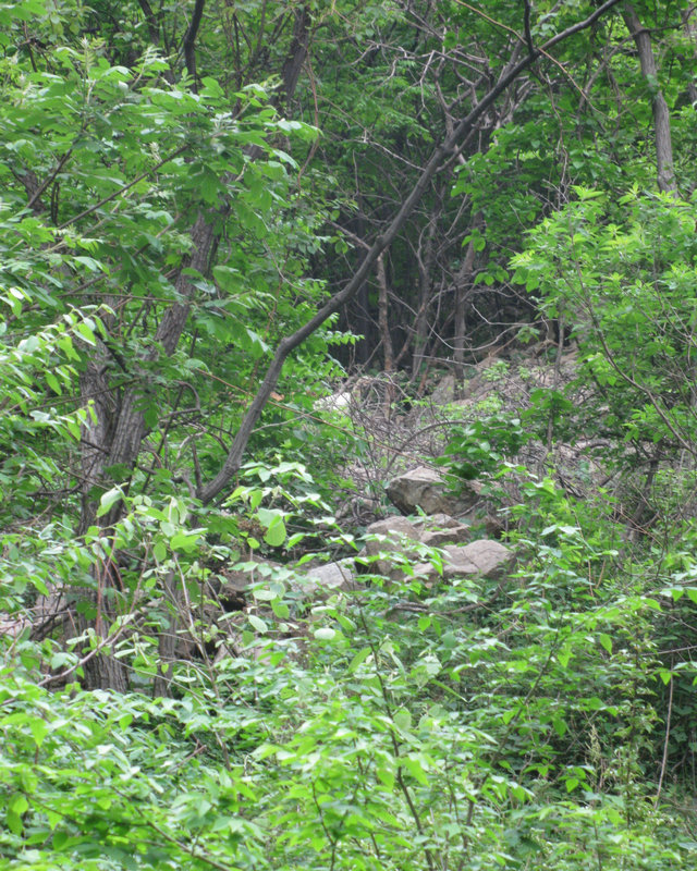 img_0210.jpg