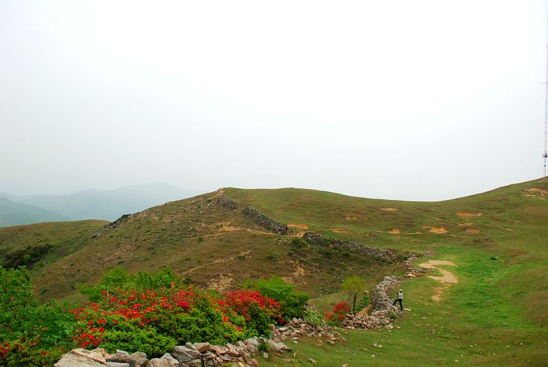 dsc_2747.jpg