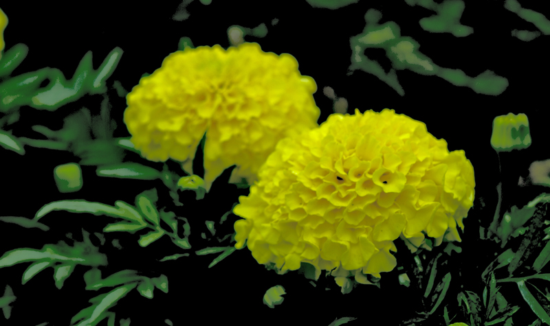 dsc_6076a.jpg