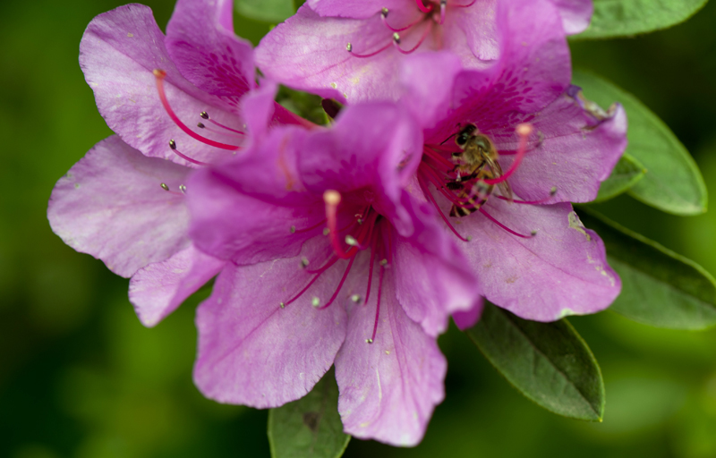 dsc_6119a.jpg