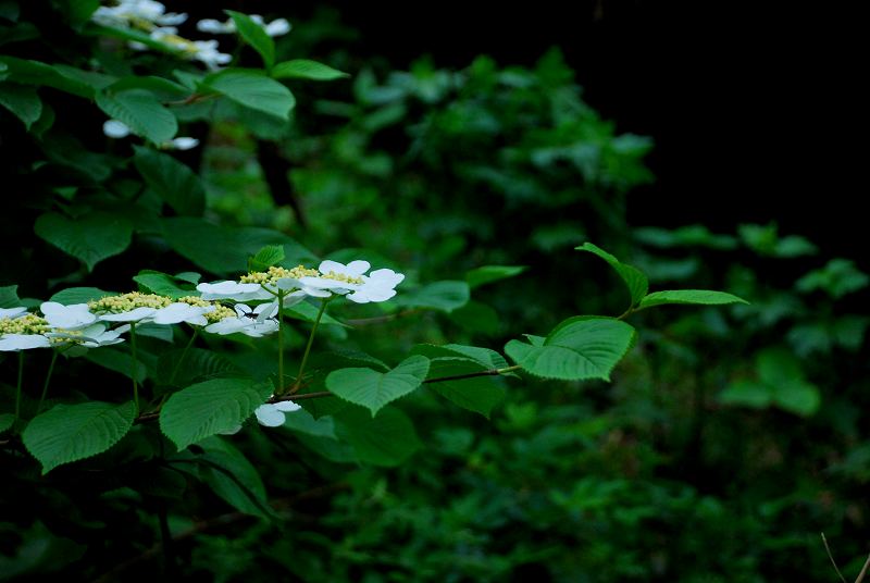 dsc_2692.jpg