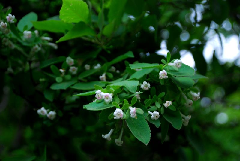dsc_2822.jpg