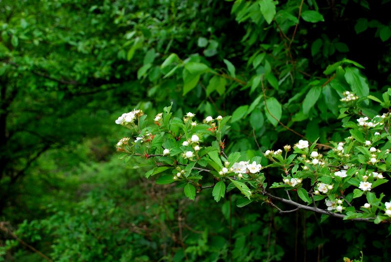 dsc_2816.jpg