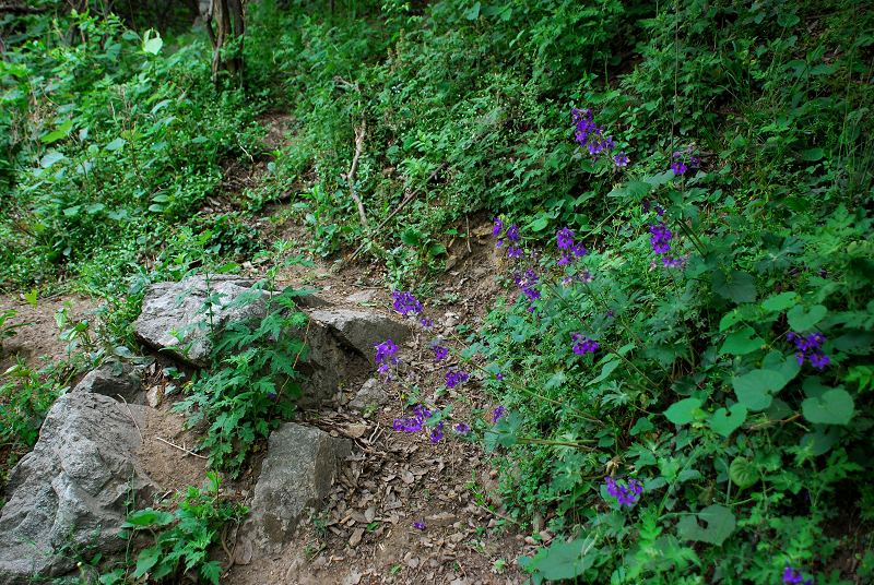 dsc_2817.jpg