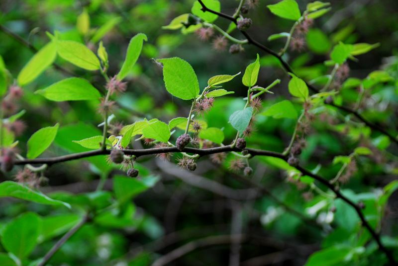dsc_2821.jpg
