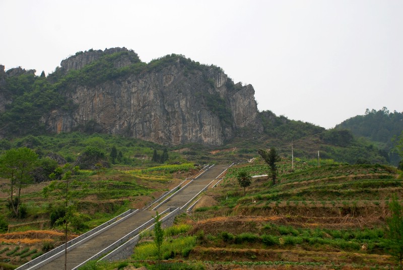 dsc_0012.jpg