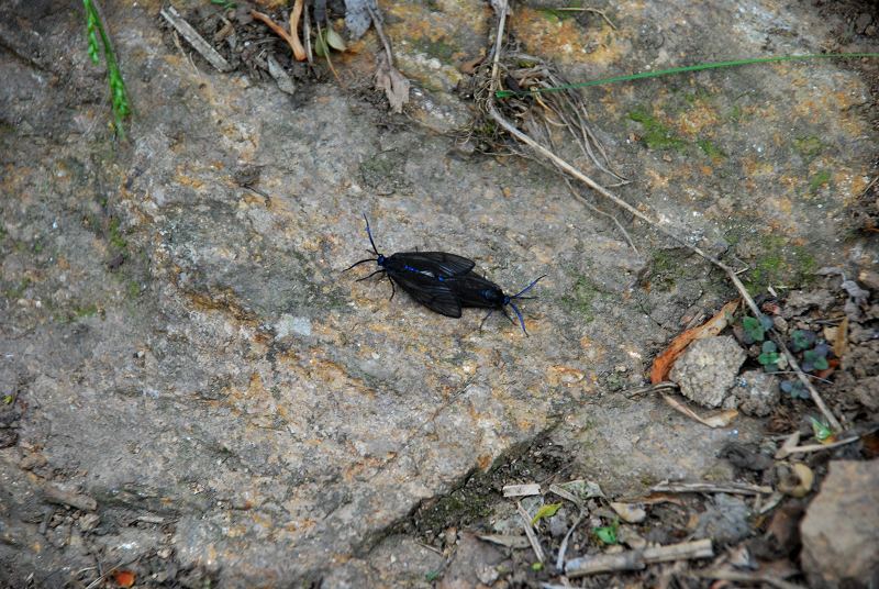 dsc_2807.jpg
