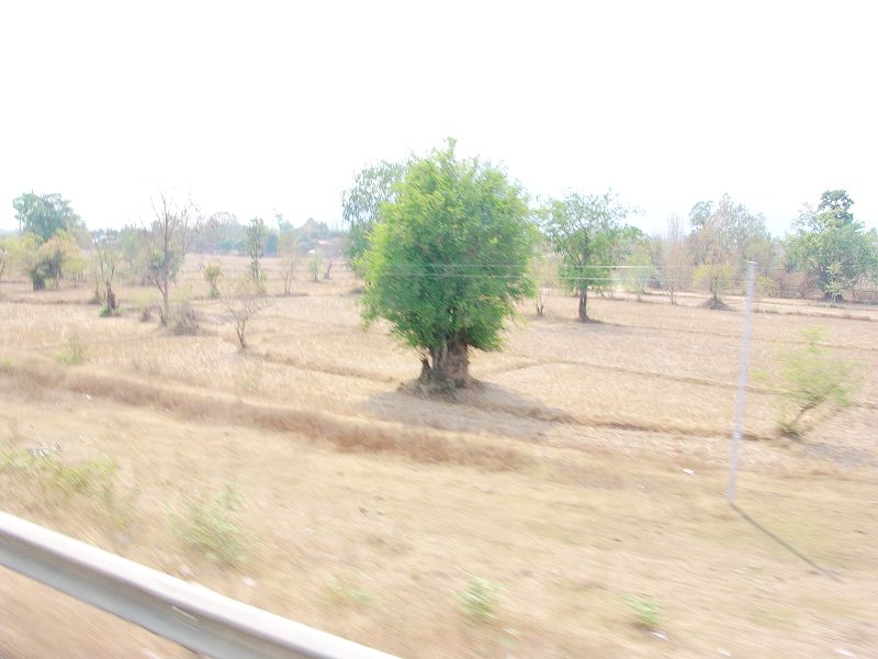 dsc01696.jpg