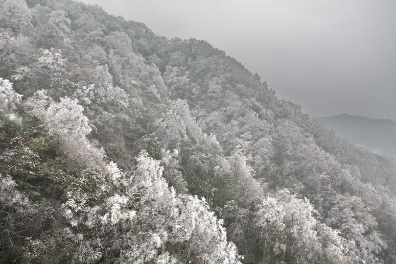 Ŀǭ 270.jpg