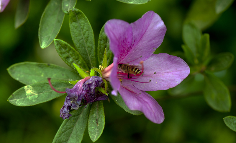 dsc_6122a.jpg