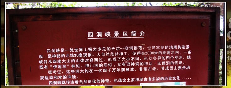 ʩ2011 446.jpg