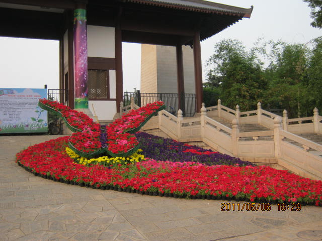 img_2689.jpg