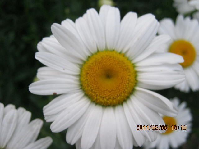 img_2703.jpg