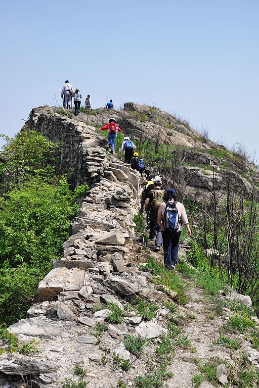 dsc_2314.jpg