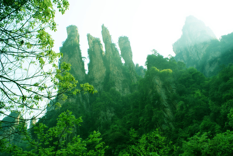 dsc00688_.jpg