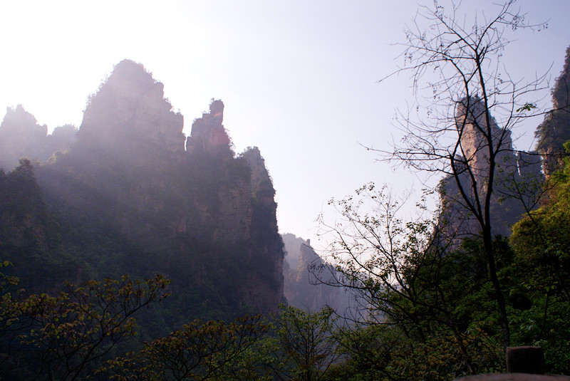 dsc00661_.jpg