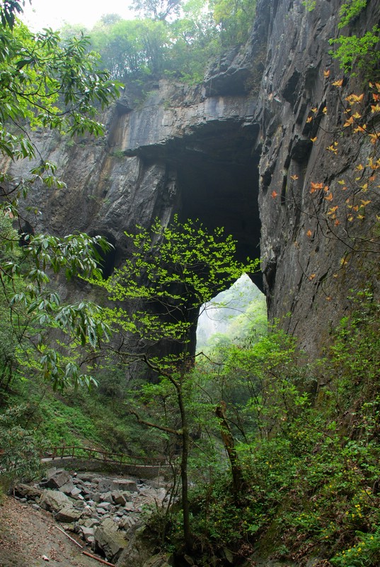 dsc_0201.jpg