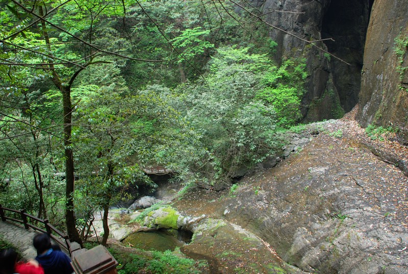 dsc_0204.jpg